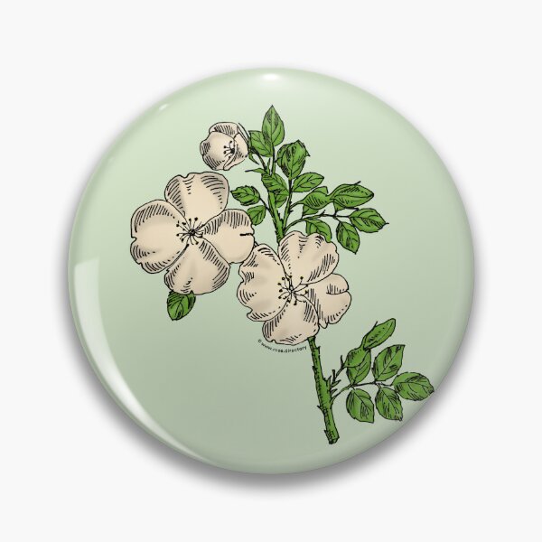 Item preview, Cream Quartered Rose Bloom Single 1-7 Petals Almost Flat designed and sold by Rachael Taylor.