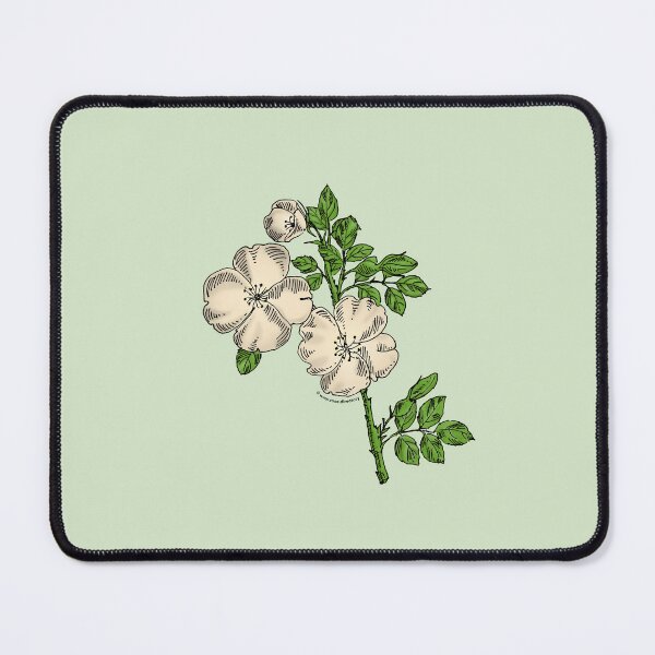 Item preview, Cream Quartered Rose Bloom Single 1-7 Petals Almost Flat designed and sold by Rachael Taylor.