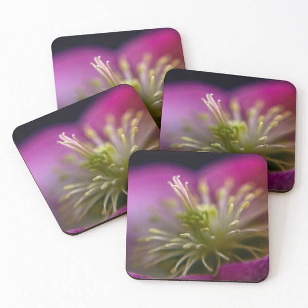 Item preview, Hellebore Beauty designed and sold by Helen K. Passey.