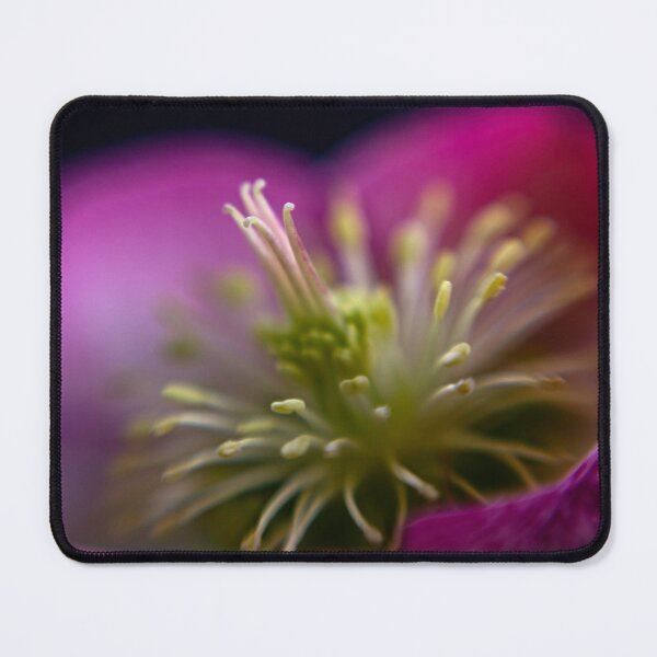 Item preview, Hellebore Beauty designed and sold by Helen K. Passey.