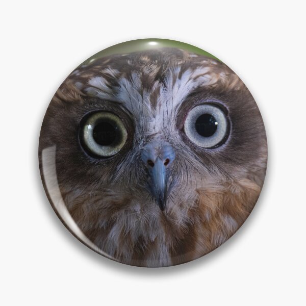 Item preview, Boobook Owl Eyes designed and sold by Donna Cameron-Prosser.