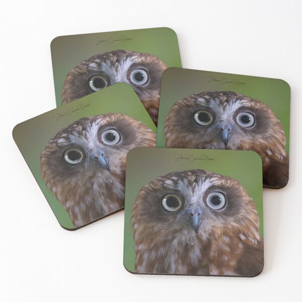 Item preview, Boobook Owl Eyes designed and sold by Donna Cameron-Prosser.