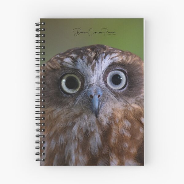 Item preview, Boobook Owl Eyes designed and sold by Donna Cameron-Prosser.