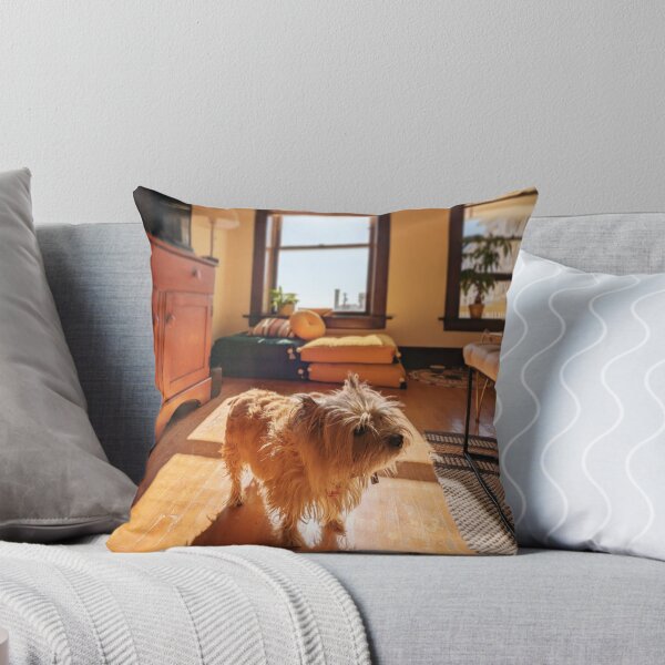 Item preview, My cute dog 1 designed and sold by Johnny5point6.