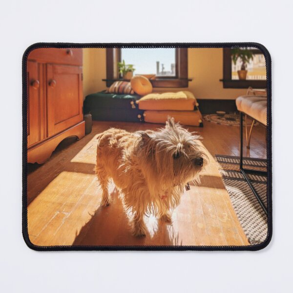 Item preview, My cute dog 1 designed and sold by Johnny5point6.