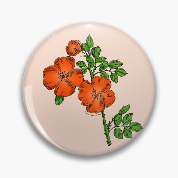 Item preview, Orange Quartered Rose Bloom Single 1-7 Petals Almost Flat designed and sold by Rachael Taylor.