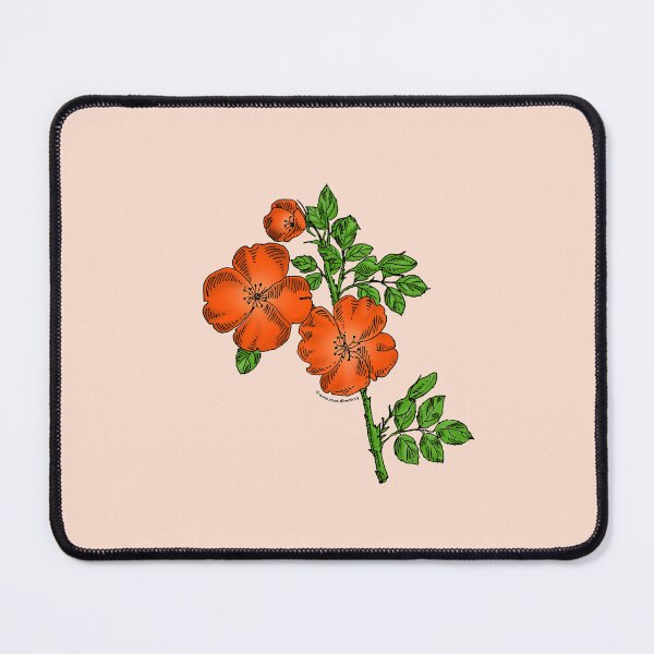 Item preview, Orange Quartered Rose Bloom Single 1-7 Petals Almost Flat designed and sold by Rachael Taylor.