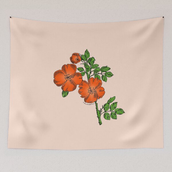 Item preview, Orange Quartered Rose Bloom Single 1-7 Petals Almost Flat designed and sold by Rachael Taylor.