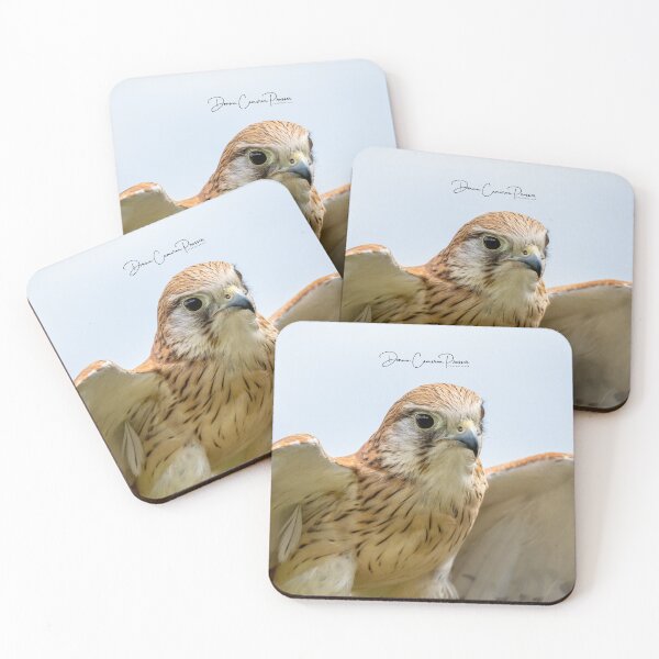 Item preview, A Brown Falcon About To Take Flight designed and sold by Donna Cameron-Prosser.