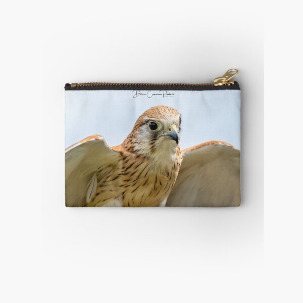 Artikelvorschau, Ein brauner Falke im Begriff, zu fliegen entworfen und verkauft von Donna Cameron-Prosser.