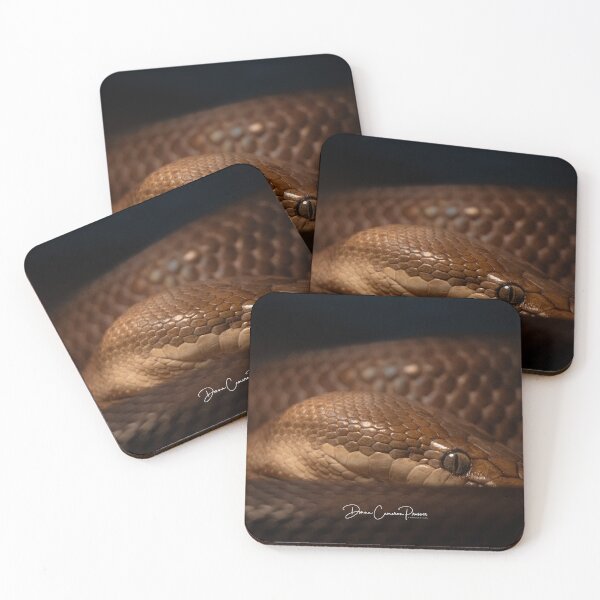 Item preview, The Steely Gaze Of A Brown Snake designed and sold by Donna Cameron-Prosser.