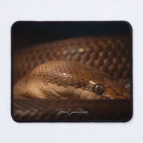 Item preview, The Steely Gaze Of A Brown Snake designed and sold by Donna Cameron-Prosser.