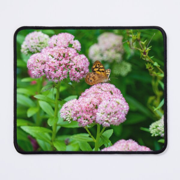 Item preview, Graceful butterfly alights on flower designed and sold by Jagadeesh Sampath.