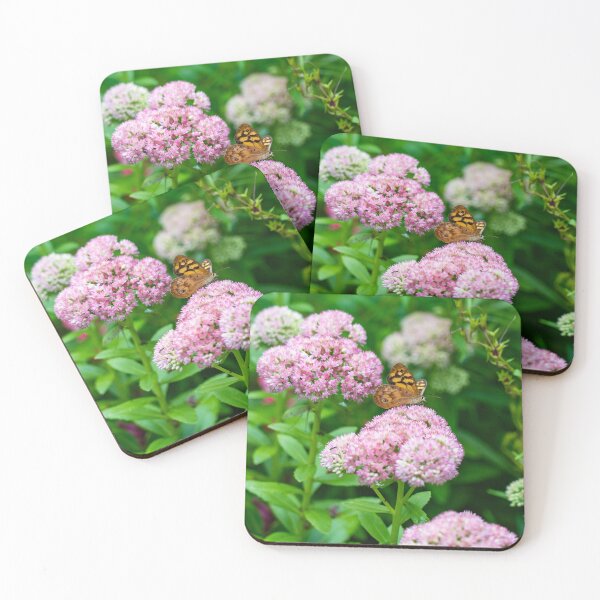 Item preview, Graceful butterfly alights on flower designed and sold by Jagadeesh Sampath.