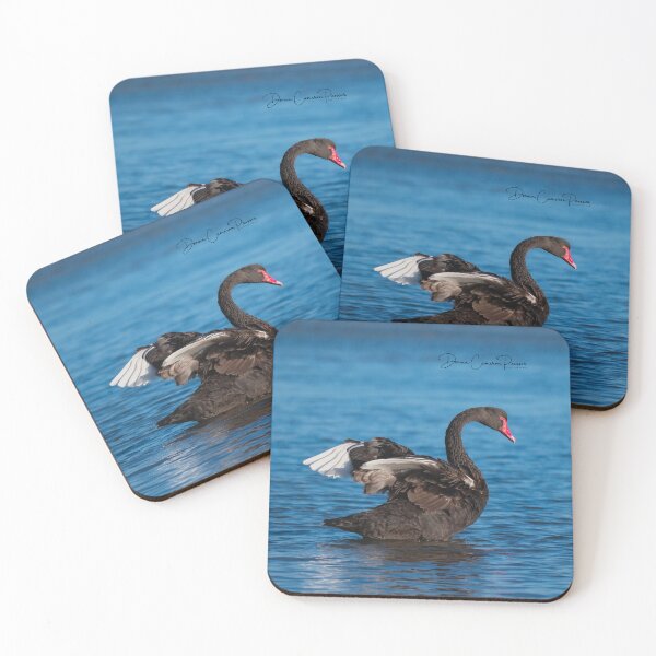 Item preview, Magnificent Black Swan designed and sold by Donna Cameron-Prosser.
