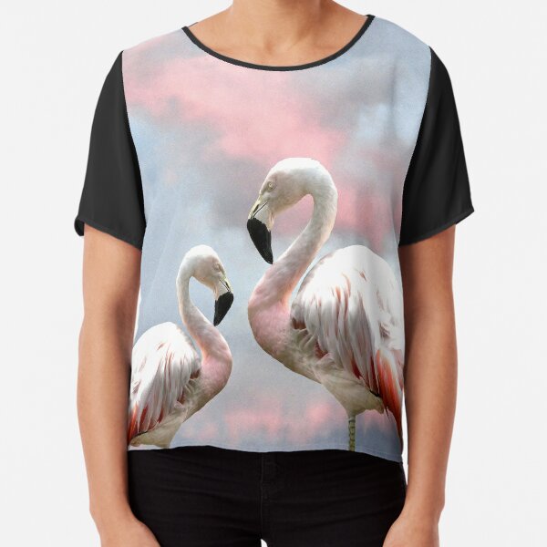 Flamingo Candy T Shirts Redbubble - roblox rapper hot small brain flamingo