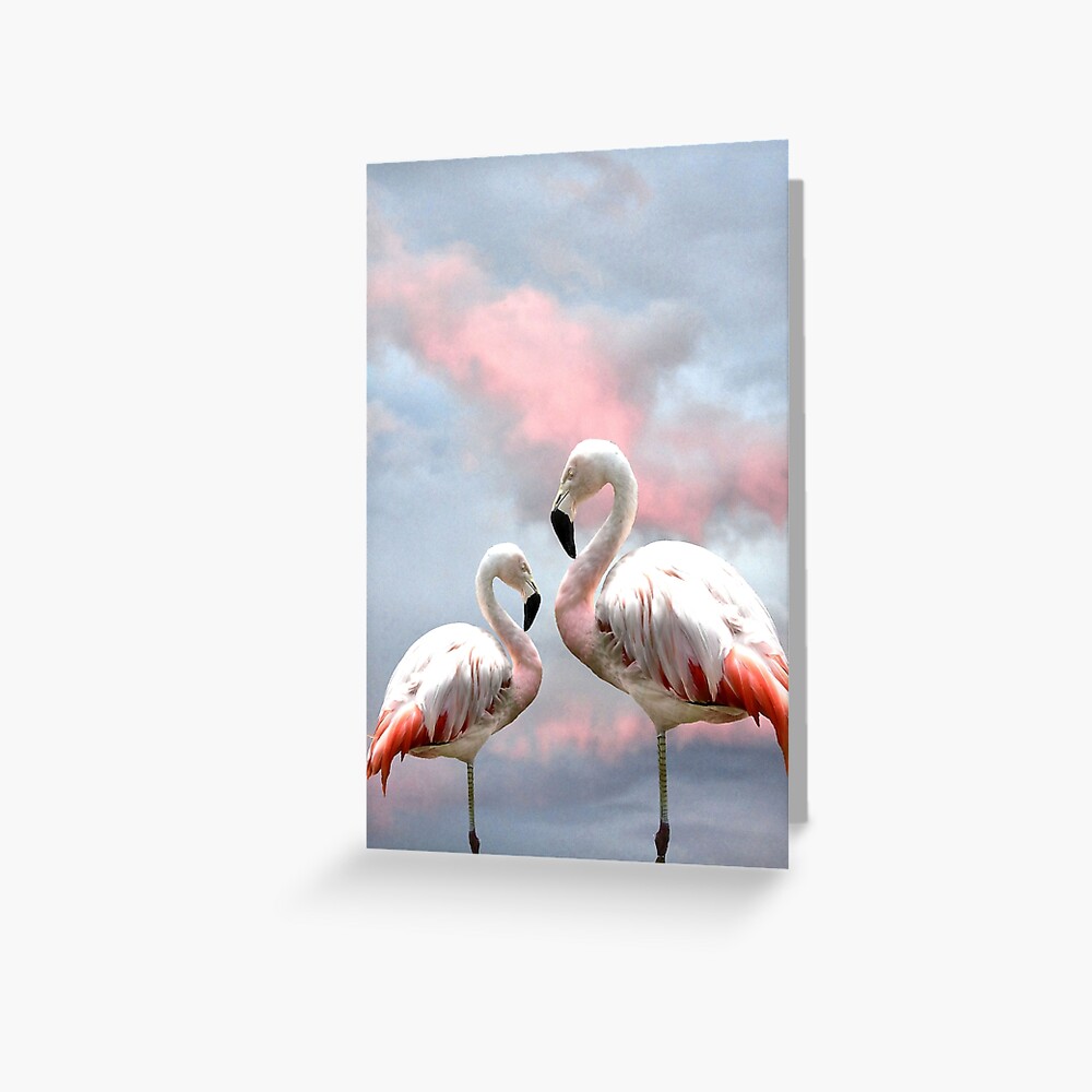 Flamingo Sky sunset birds Greeting Card