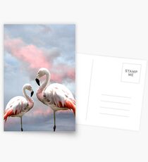 Flamingo Sky sunset birds Postcards