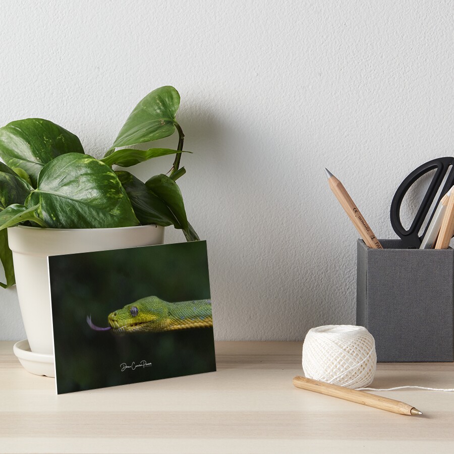 Item preview, Art Board Print designed and sold by DCPPhotographer.
