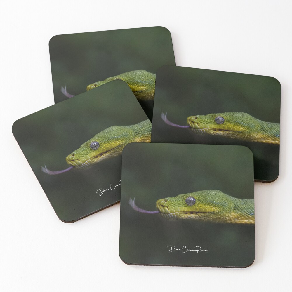 Item preview, Coasters (Set of 4) designed and sold by DCPPhotographer.