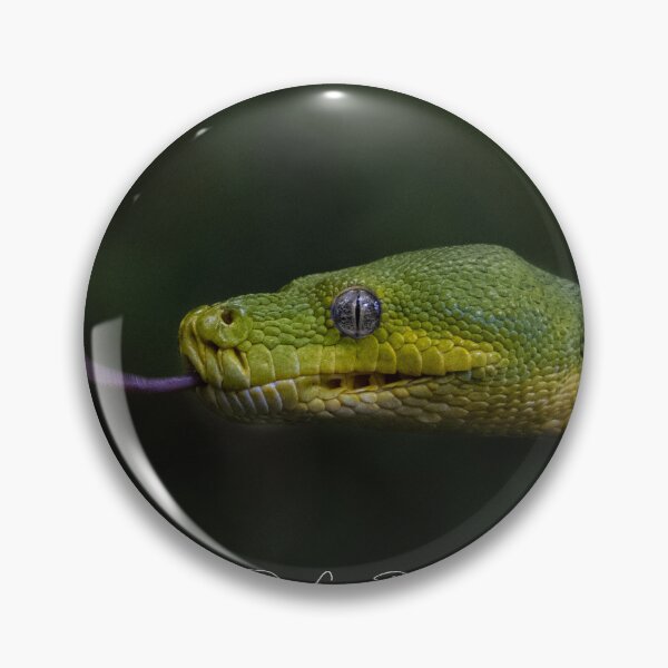 Item preview, Green Tree Python designed and sold by Donna Cameron-Prosser.