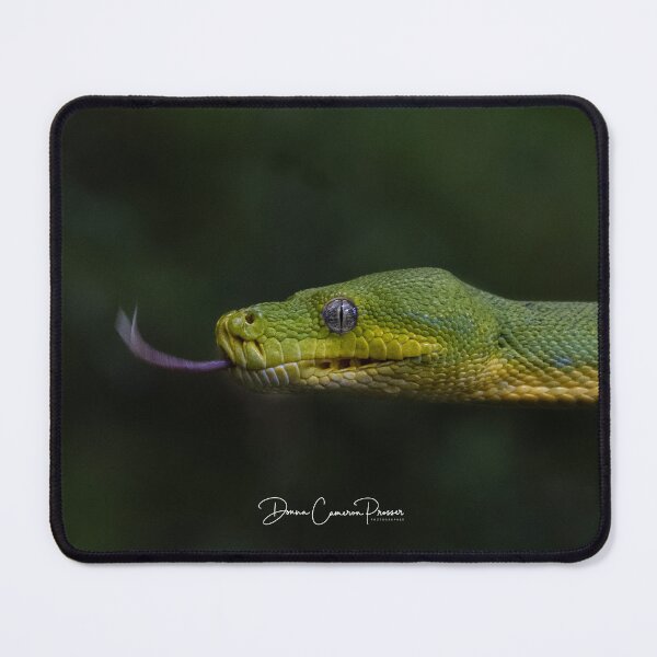 Item preview, Green Tree Python designed and sold by Donna Cameron-Prosser.