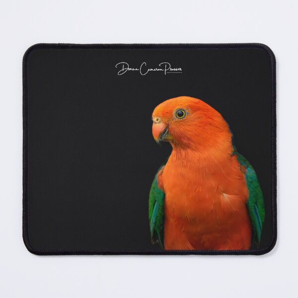 Item preview, A King Parrot Posing designed and sold by Donna Cameron-Prosser.