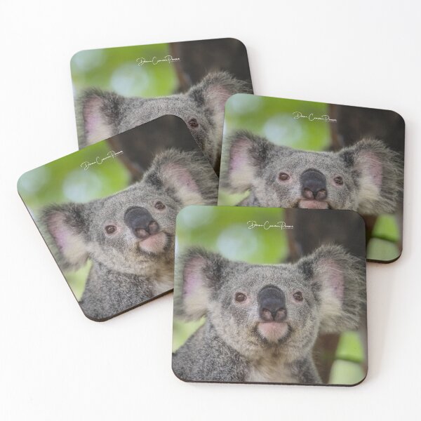 Item preview, Cuddly Koala designed and sold by Donna Cameron-Prosser.