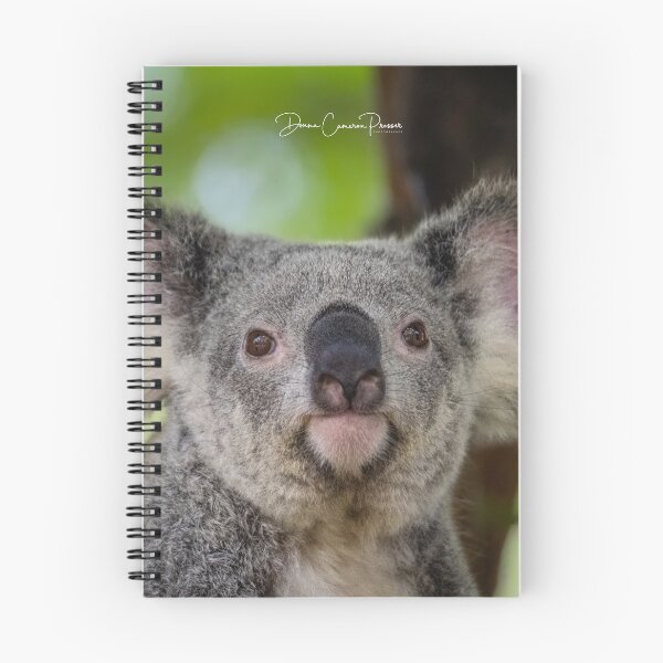 Item preview, Cuddly Koala designed and sold by Donna Cameron-Prosser.