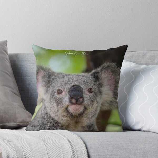 Aperçu de l'œuvre Koala câlin créée et vendue par Donna Cameron-Prosser.