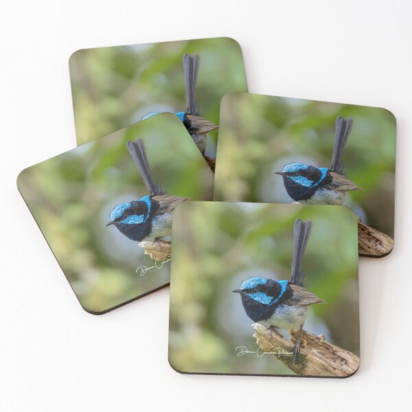 Item preview, Superb Fairywren designed and sold by Donna Cameron-Prosser.