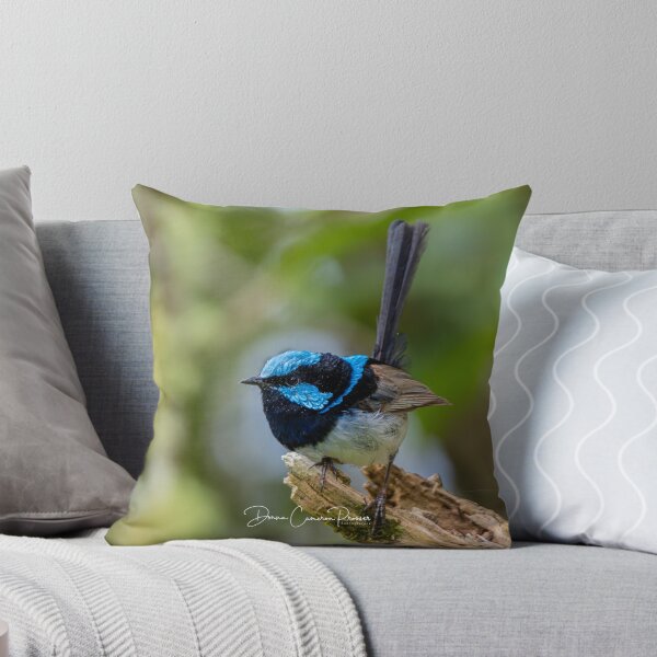 Item preview, Superb Fairywren designed and sold by Donna Cameron-Prosser.