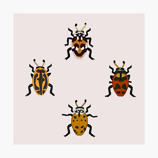 Item preview, Native Lady Beetle Collection designed and sold by WaterbugWorks.