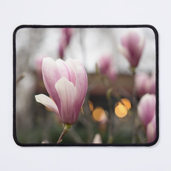 Item preview, Pleasant Spring Ambience Lights Glow designed and sold by Georgia Mizuleva.