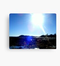 balnarring beach Canvas Print