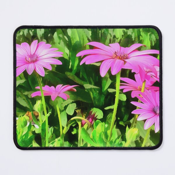 Item preview, Magenta Africa Daisies Artistic Study designed and sold by taiche.