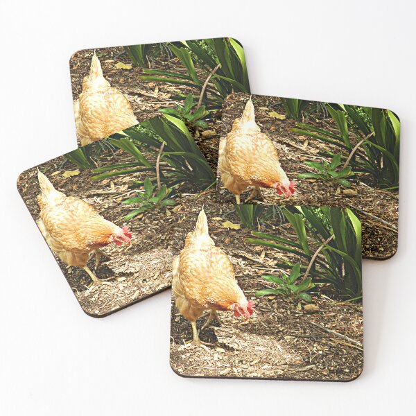 Item preview, Chcken picking at Werribee Zoo designed and sold by EdsMum.