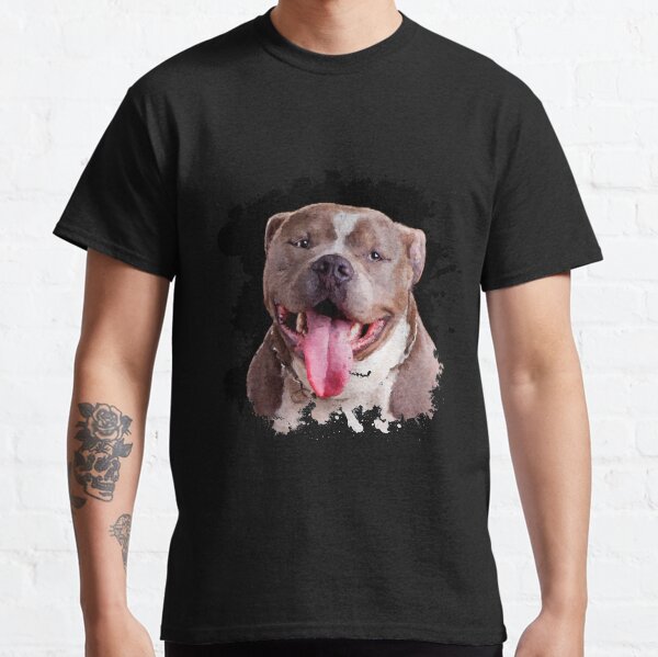 american bully clothes