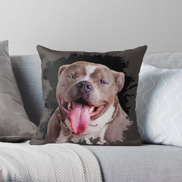 Jimmy choo discount american bully