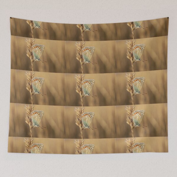 Item preview, Common Blue designed and sold by Jo Nijenhuis.