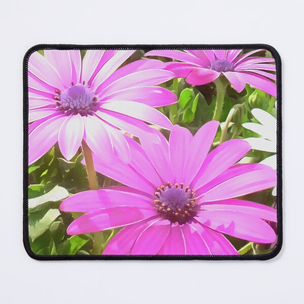 Item preview, Purple And Pink Tropical Daisy Flowers designed and sold by taiche.