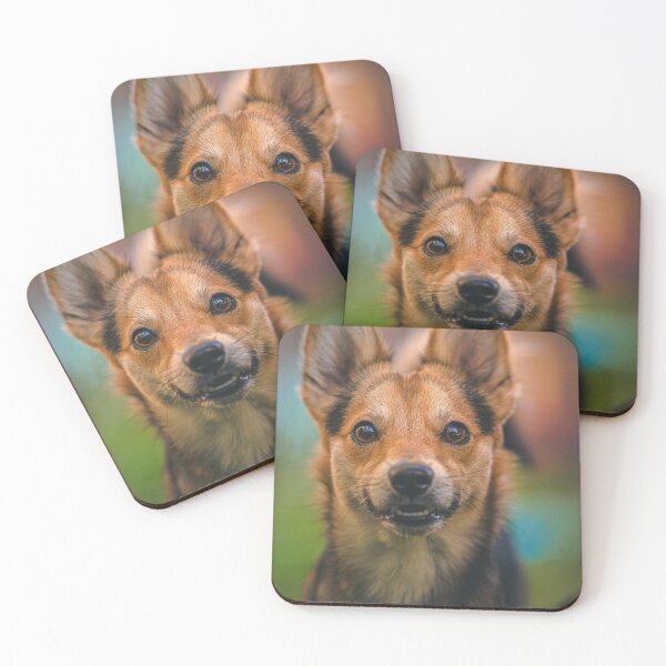 Item preview, Dog spots the camera designed and sold by AdventureUnlockedCo.