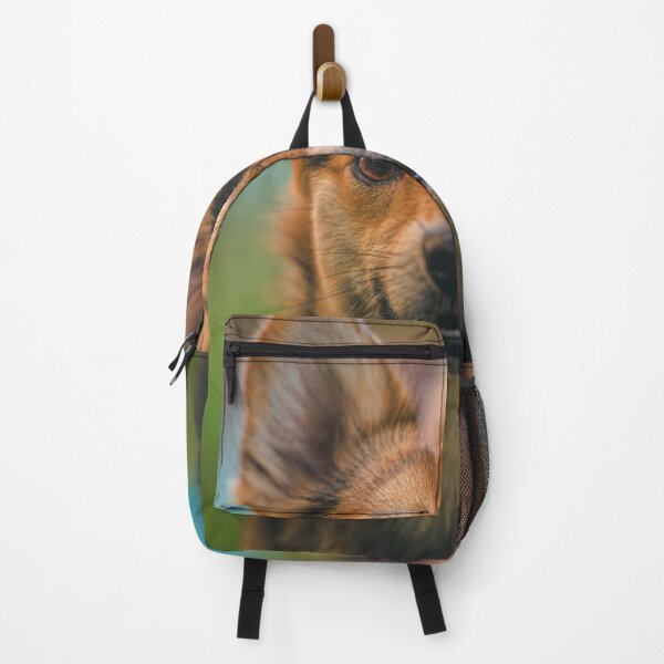 Item preview, Dog spots the camera designed and sold by AdventureUnlockedCo.