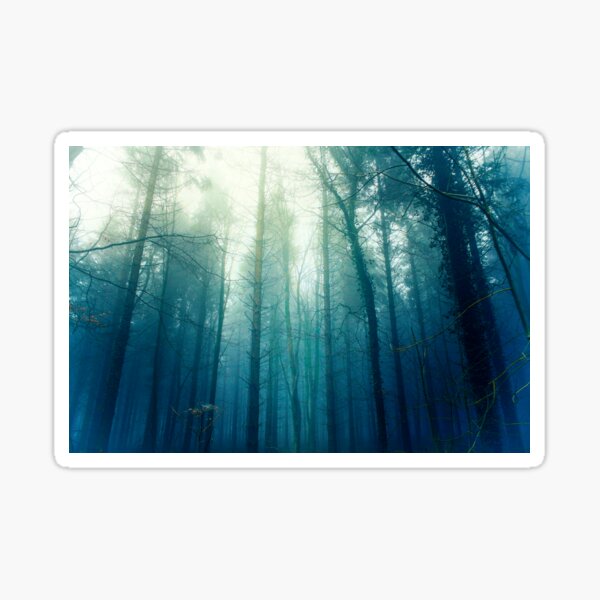 Item preview, Light through the pines designed and sold by heidiannemorris.
