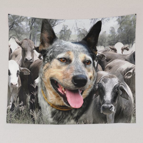 Item preview, BLUE HEELER, CATTLE DOG, COUNTRY STYLE, T SHIRTS HATS N CAPS, AND HOME DECOR  designed and sold by Barbara Jean Photo Art And Design.