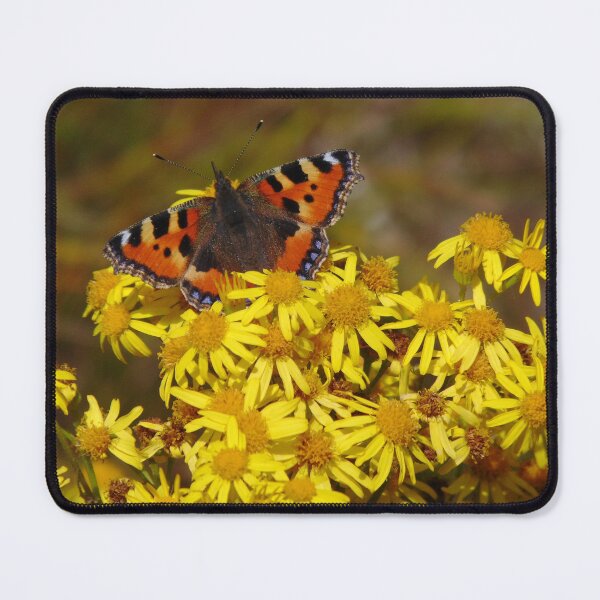 Item preview, Summer butterfly designed and sold by lusiakotowska.
