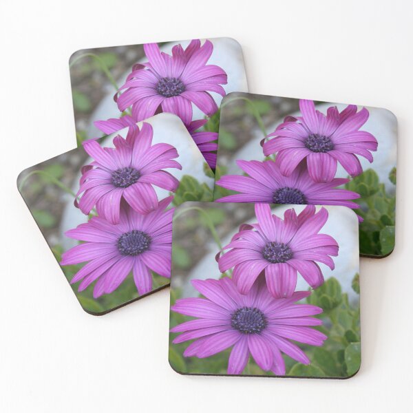 Item preview, Purple and Pink African Daisy Flowers designed and sold by taiche.
