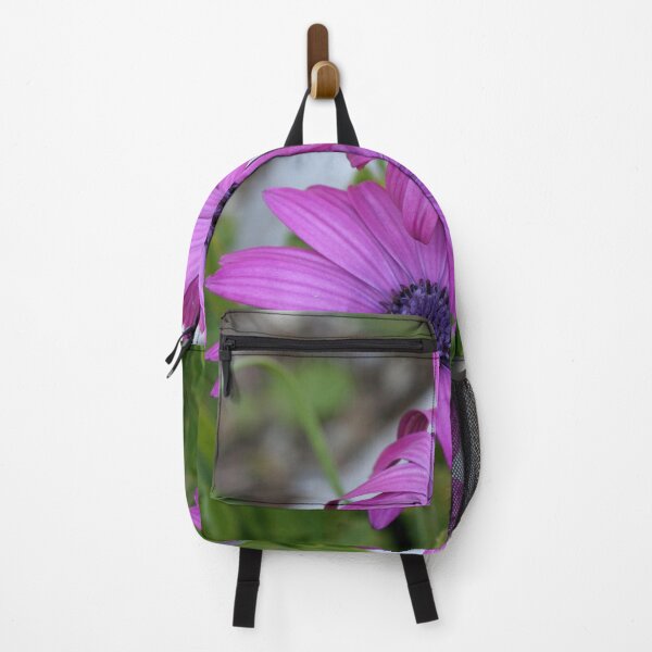 Item preview, Purple and Pink African Daisy Flowers designed and sold by taiche.