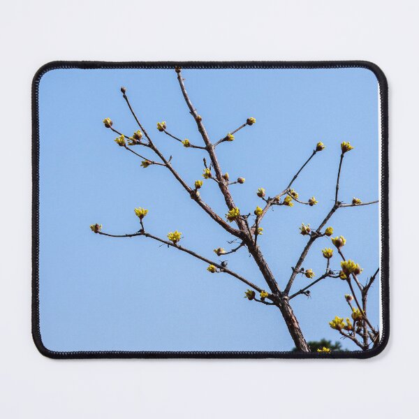 Item preview, Cornus officinalis 4 designed and sold by yunee.