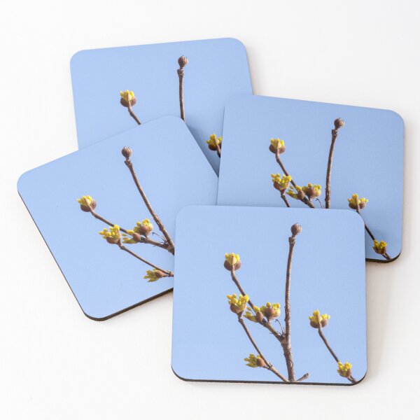 Item preview, Cornus officinalis 5 designed and sold by yunee.